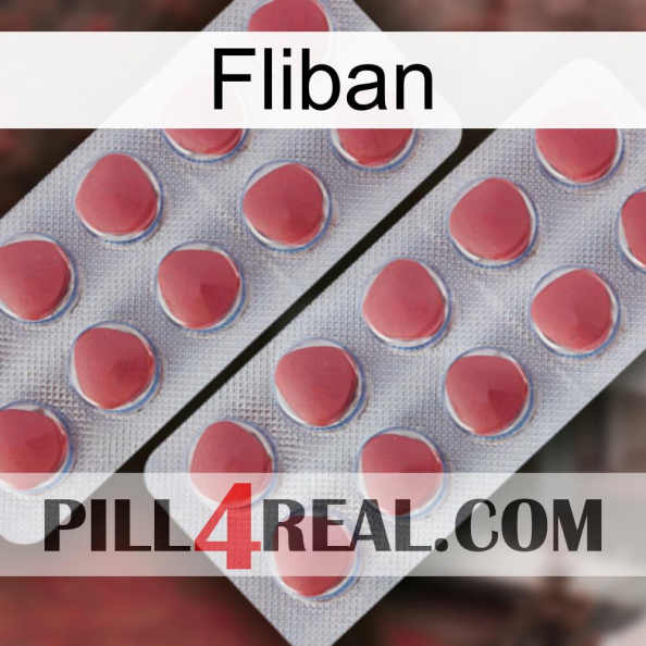 Fliban 19
